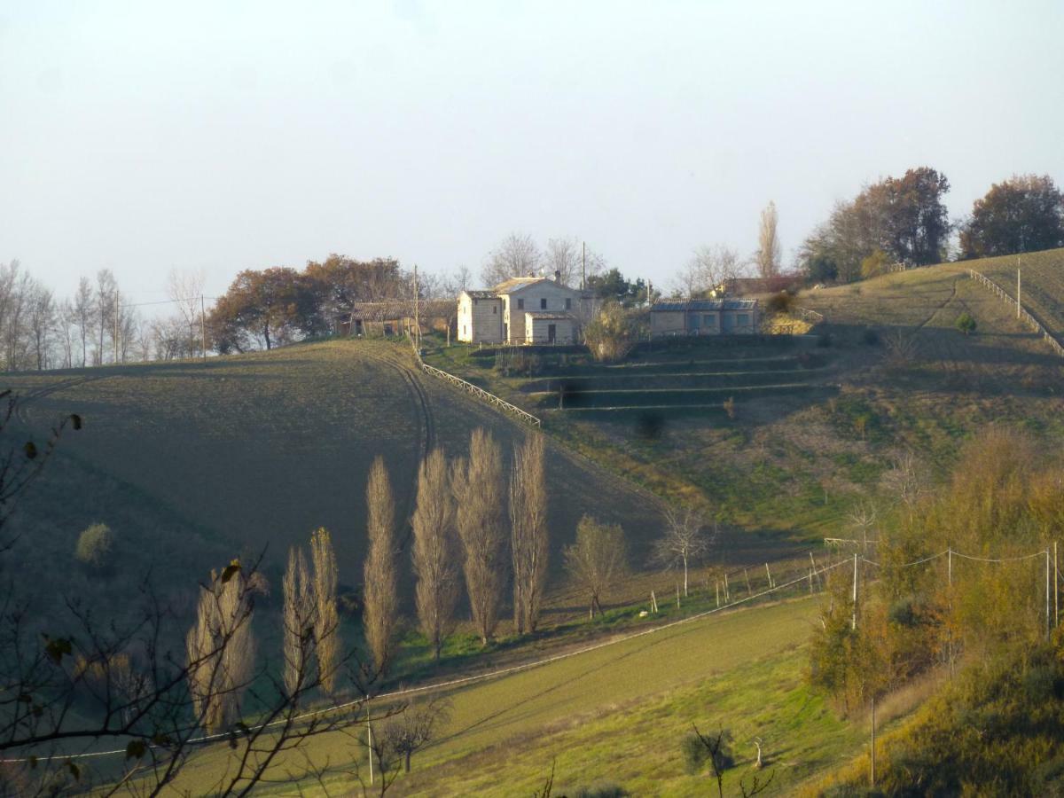Locanda San Francesco Montecarotto エクステリア 写真